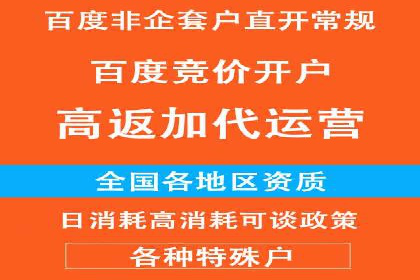 百度竞价代理的投放策略及某行业成功案例